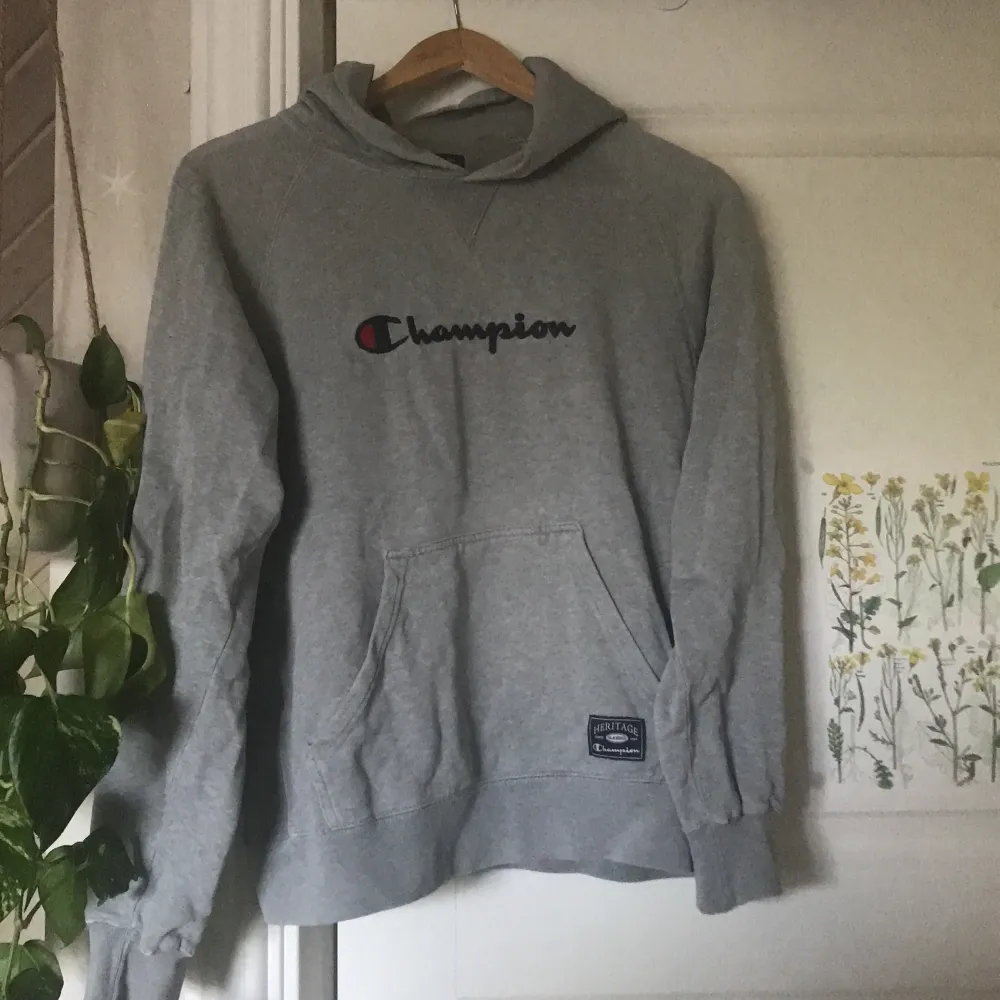 Säljer denna fina grå hoodie som jag köpte för cirka ett år sedan💕💕. Tröjor & Koftor.