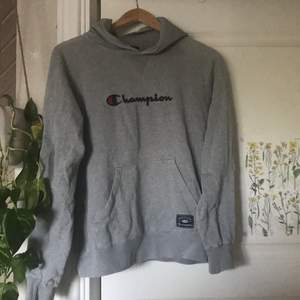 Säljer denna fina grå hoodie som jag köpte för cirka ett år sedan💕💕