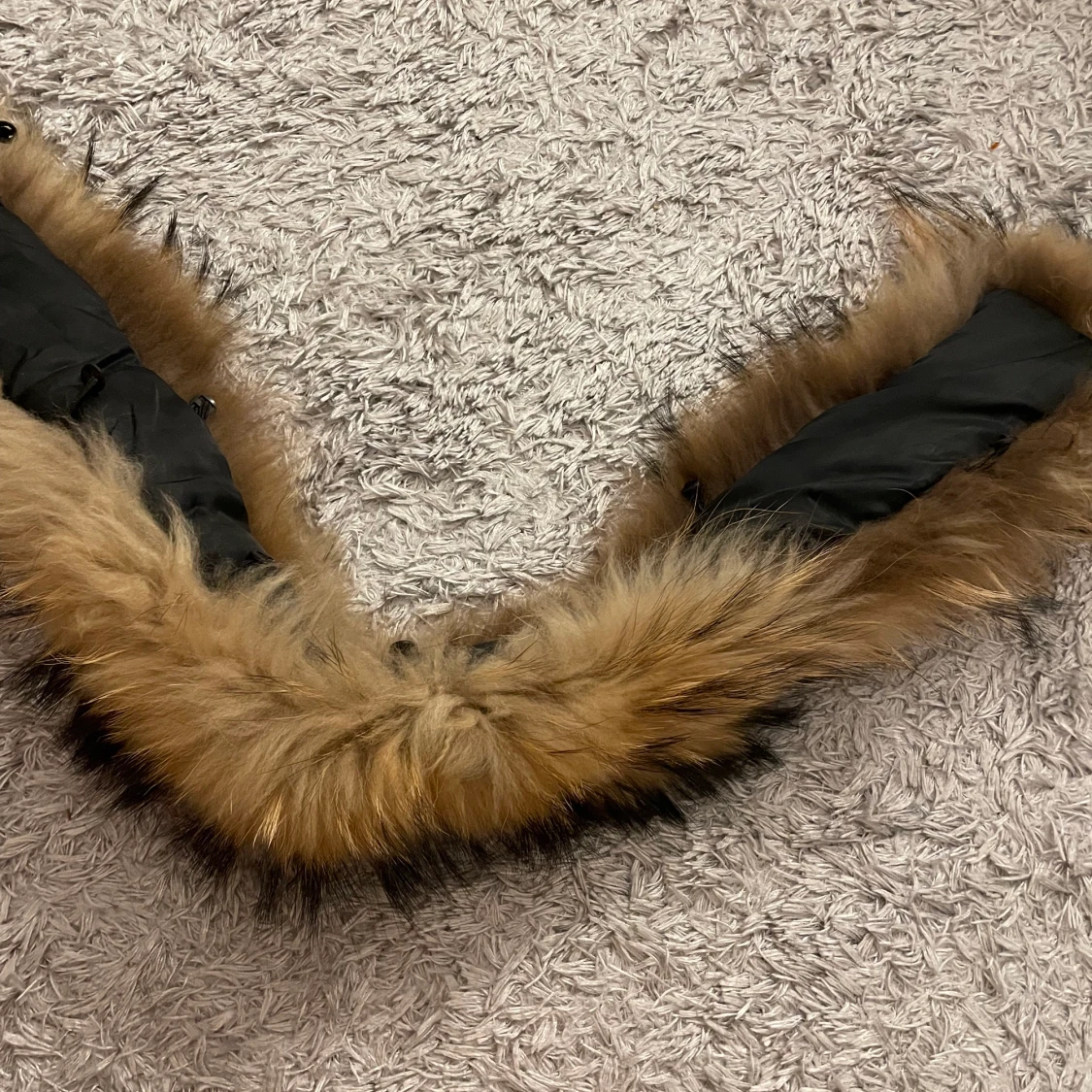 Äkta pälskrage  - 91