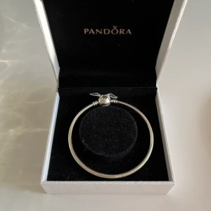 Harry Potter- Pandora  - Armband från Pandora. Med golden snitch på. Köpt för 1000 kr