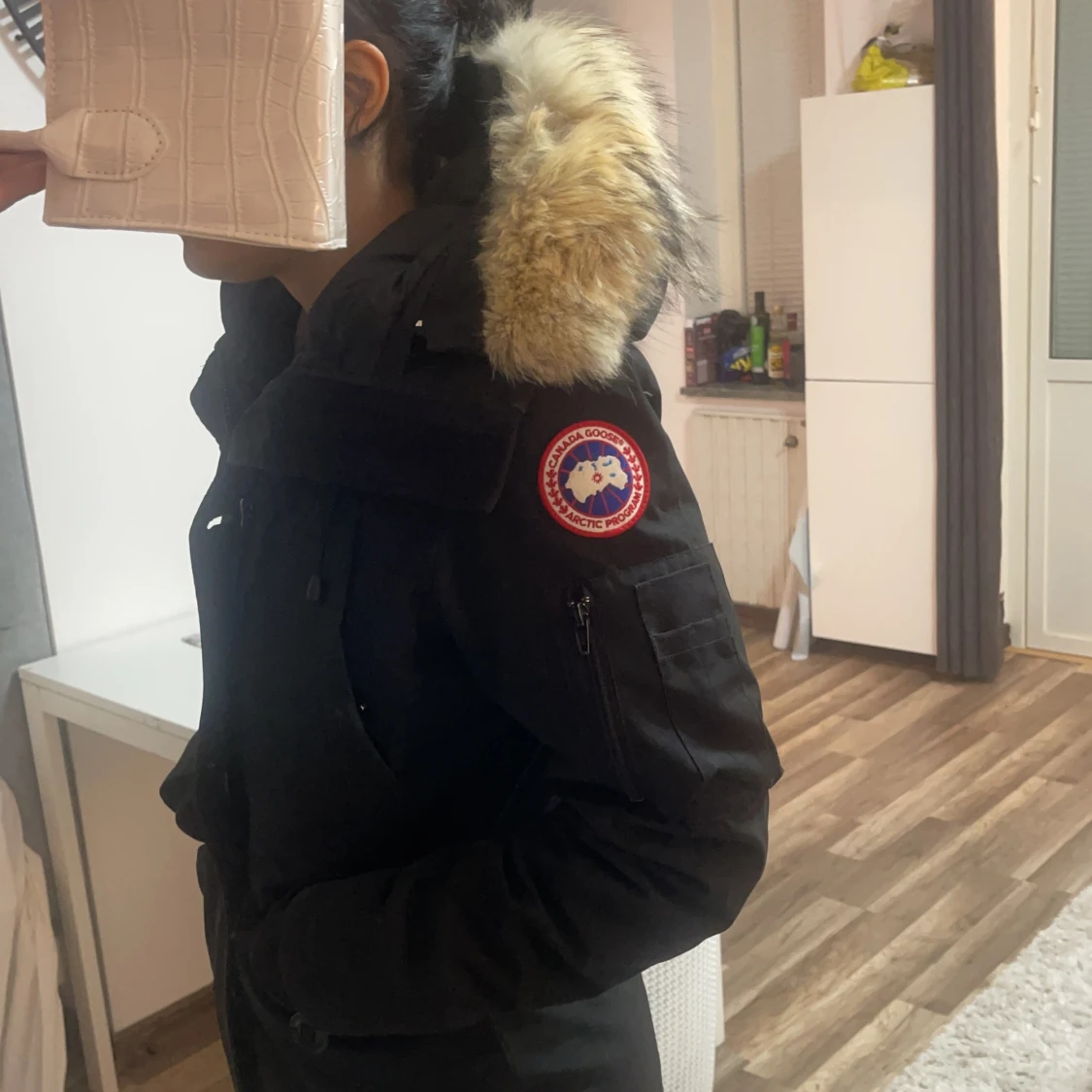 Canada goose  - 90