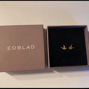 Örhängen  - Jättefina fågelörhängen från Edblad🕊💕 aldrig använda, nypris 199 kr