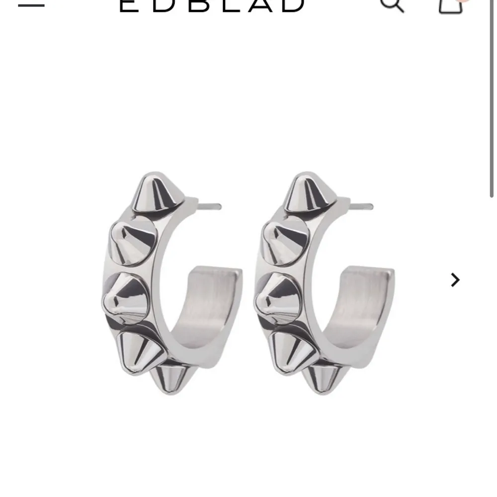 Säljer mina Edblad örhängen då dom inte kommer till användning 💞💞. Accessoarer.