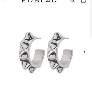 Säljer mina Edblad örhängen då dom inte kommer till användning 💞💞