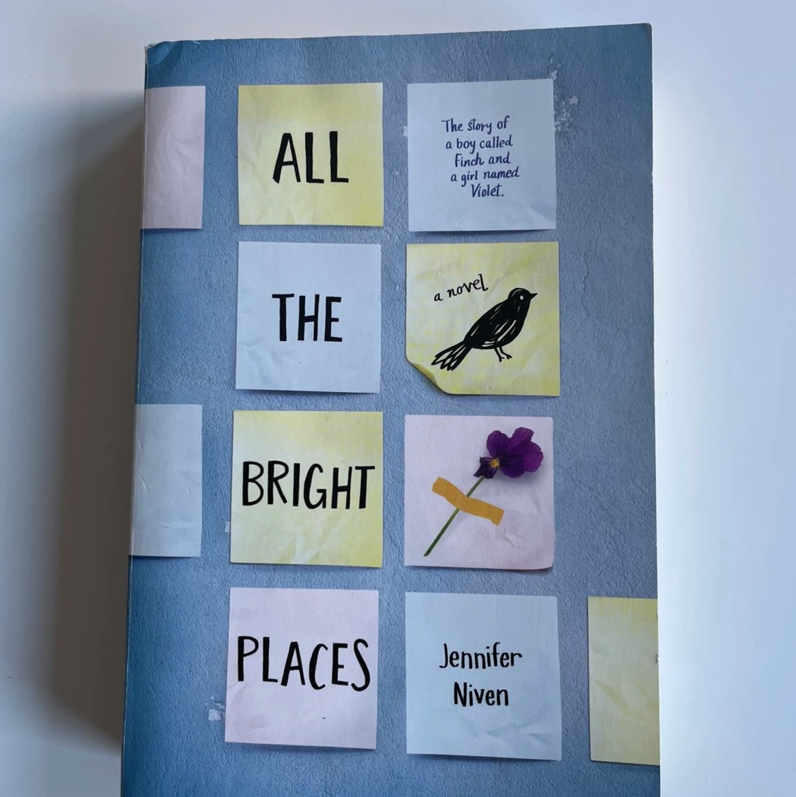 all the bright places 