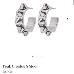 Säljer ett till par helt nya örhängen ifrån Edblad som aldrig e använda. Köptes för 349kr. 💕