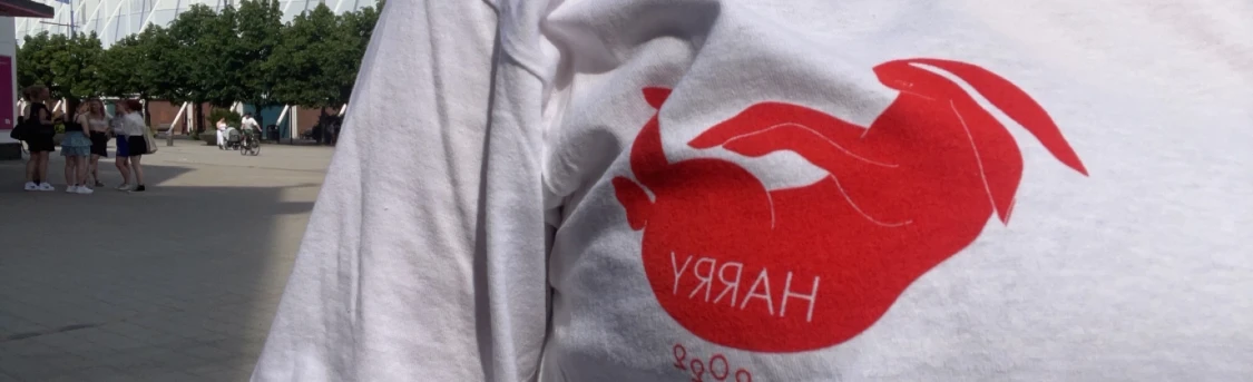 Harry styles Kanin Merch - 90