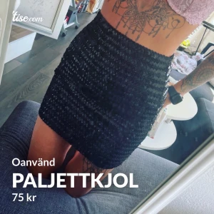 Paljett kjol - En fin paljett kjol! 