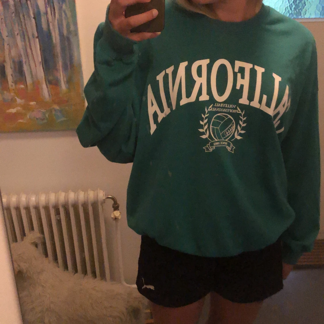 Sweatshirt från shein - 90