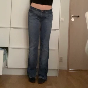 Cavalli jeans - Ett par bootcut jeans från cavalli, lågmidjade