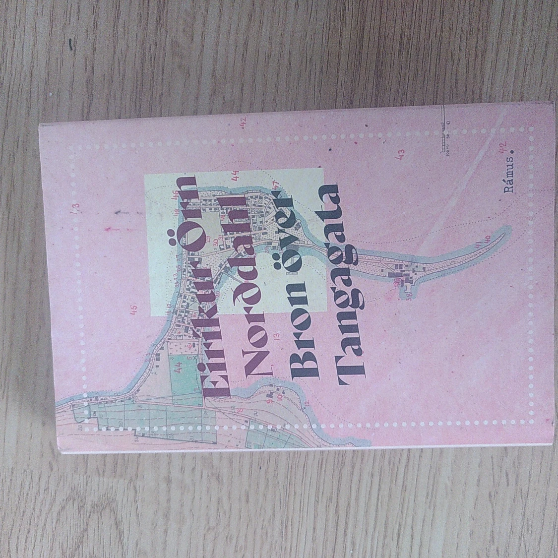 Bok bron över Tangagata av Eiríkur Örn Norðahl - 91