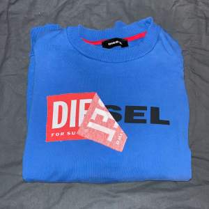 Diesel sweatshirt i väldigt bra skick, nästan aldrig använd, säljer pga att jag aldrig använder den