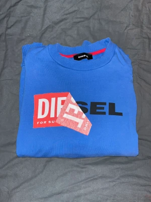 Diesel Sweatshirt - Diesel sweatshirt i väldigt bra skick, nästan aldrig använd, säljer pga att jag aldrig använder den