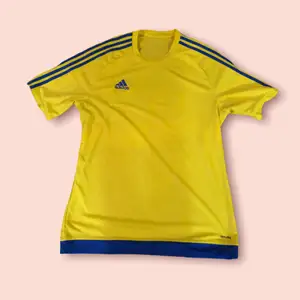 Adidas tröja med blå tre streck i storlek L