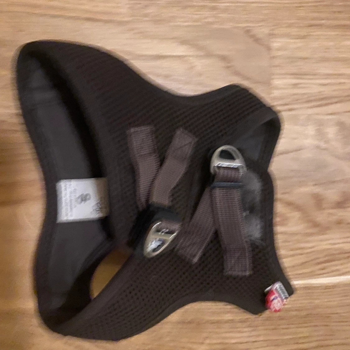 curli/dogfinder hundsele  - 91