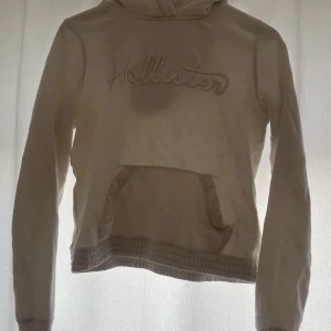 Hollister hoodie  - Hoodie, nypris ca 500, ej genomskinlig, bild tagen i motljus