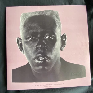 Tyler The Creator Vinyl!💗 - Tyler the Creator vinyl! Tyvärr 2 små-små fläckar i själva omslaget men inget som märks, köparen står för frakt💗