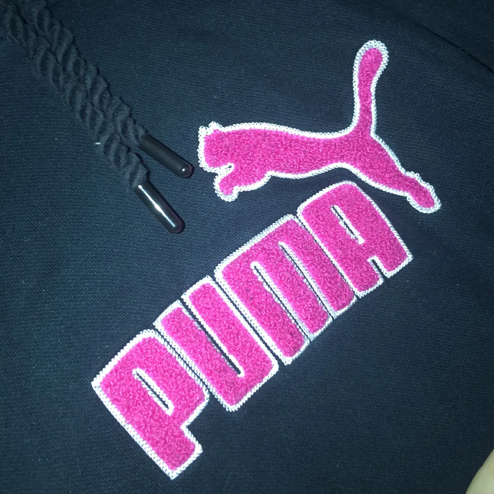 Puma hoodie, inte använd på ett bra tag, storlek L men sitter lite tajtare typ som M. . Hoodies.