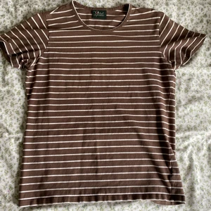 Peak Performance t-shirt - Peak Performance t-shirt, brun och randig.