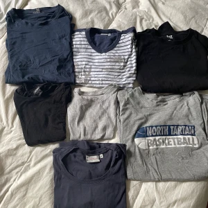 T-shirts - Flera basic t-shirts. Fråga om du vill ha fler bilder. 20 kr styck