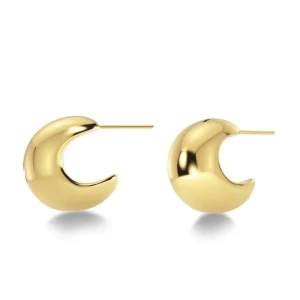 Guldiga örhängen från Edblad - Snygga örhängen från Edblad i guldig färg med en modern, rundad och chunky form och har aldrig använt dom 