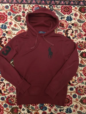 Japansk Big Horse Ralph Lauren - Grisch Ralph Lauren hoodie, archive sällsynt thriftad från Japan