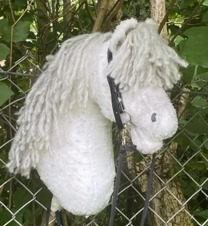 Käpphäst till salu - Fin käpphäst till salu :)