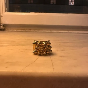 Edblad ring Guld - Fin och cool guldfärgad ring med flera spetsiga nitar på ovansidan. Ringen har en bred form. Jätte fin!