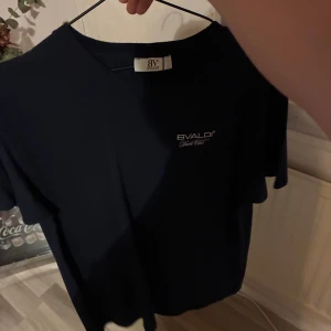 Bvaldi  - Bvaldi tröja L!