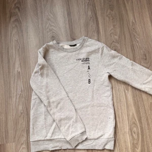 Grå sweatshirt från LMTD med tryck - Säljer en ljusgrå sweatshirt från LMTD i storlek S med coolt svart texttryck både fram och bak. Tröjan har rund hals, långa ärmar och ribbade muddar vid ärmslut och nederkant. Perfekt för dig som gillar stilrena och bekväma plagg.