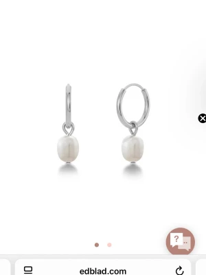 Örhängen Edblad  - Fina örhängen kan tänka mig att byta om ni har likadana fast guldiga.