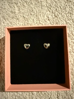 Edblad silver örhängen  - Helt oanvända silver örhängen från Edblad 