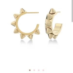 Helt nya Edblad örhängen  - Helt nya taggiga edbald örhängen, aldrig använda inte ens provade. Ny pris 399 kr Stora modellen, skriv för mer bilder elelr frågor🥰 