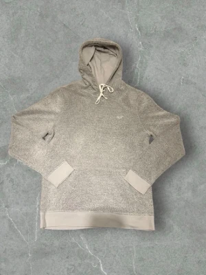 Grå hoodie från hollister - En går hoodie från hollister som är väldigt skön och varm, priset är självklart inte hugget i sten och är öppen för frågor om tröjan!