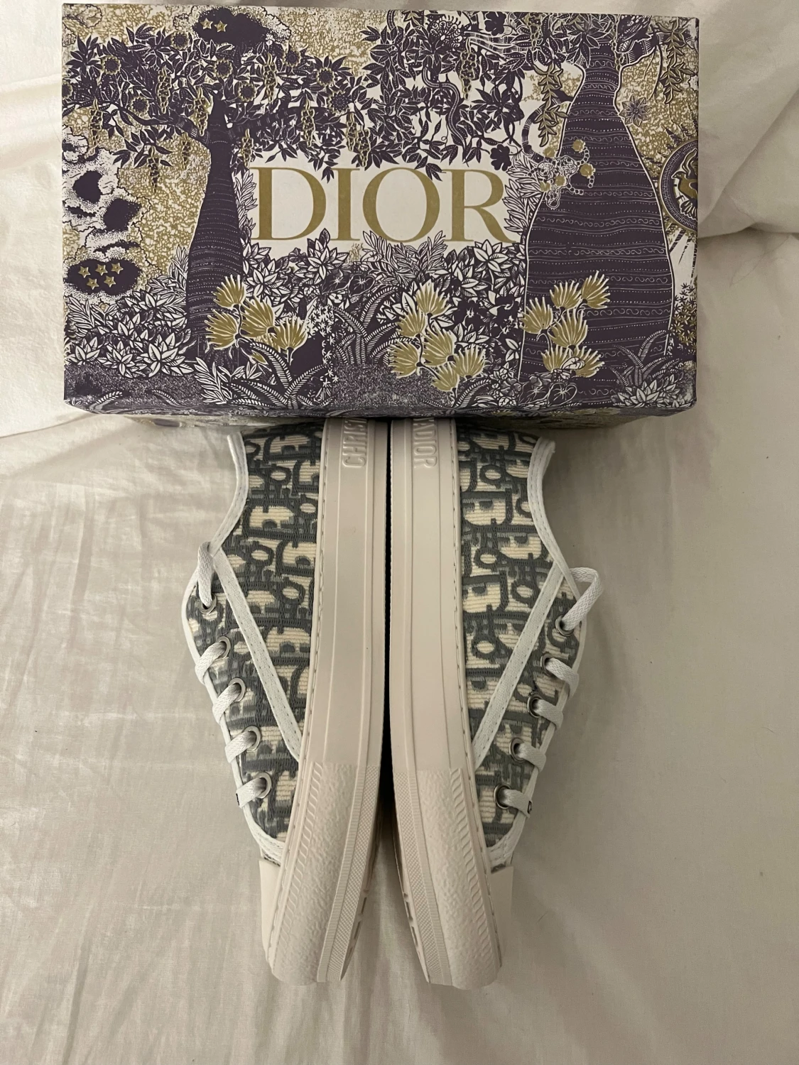 Dior skor - 2