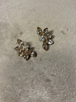 Guld färgade örhängen  - Finns inga pluttar till!!! Har själv aldrig använt dom!