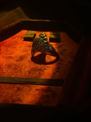 Ring - Sjukt cool ring!! Annorlunda och ger en cool touch till din outfit 