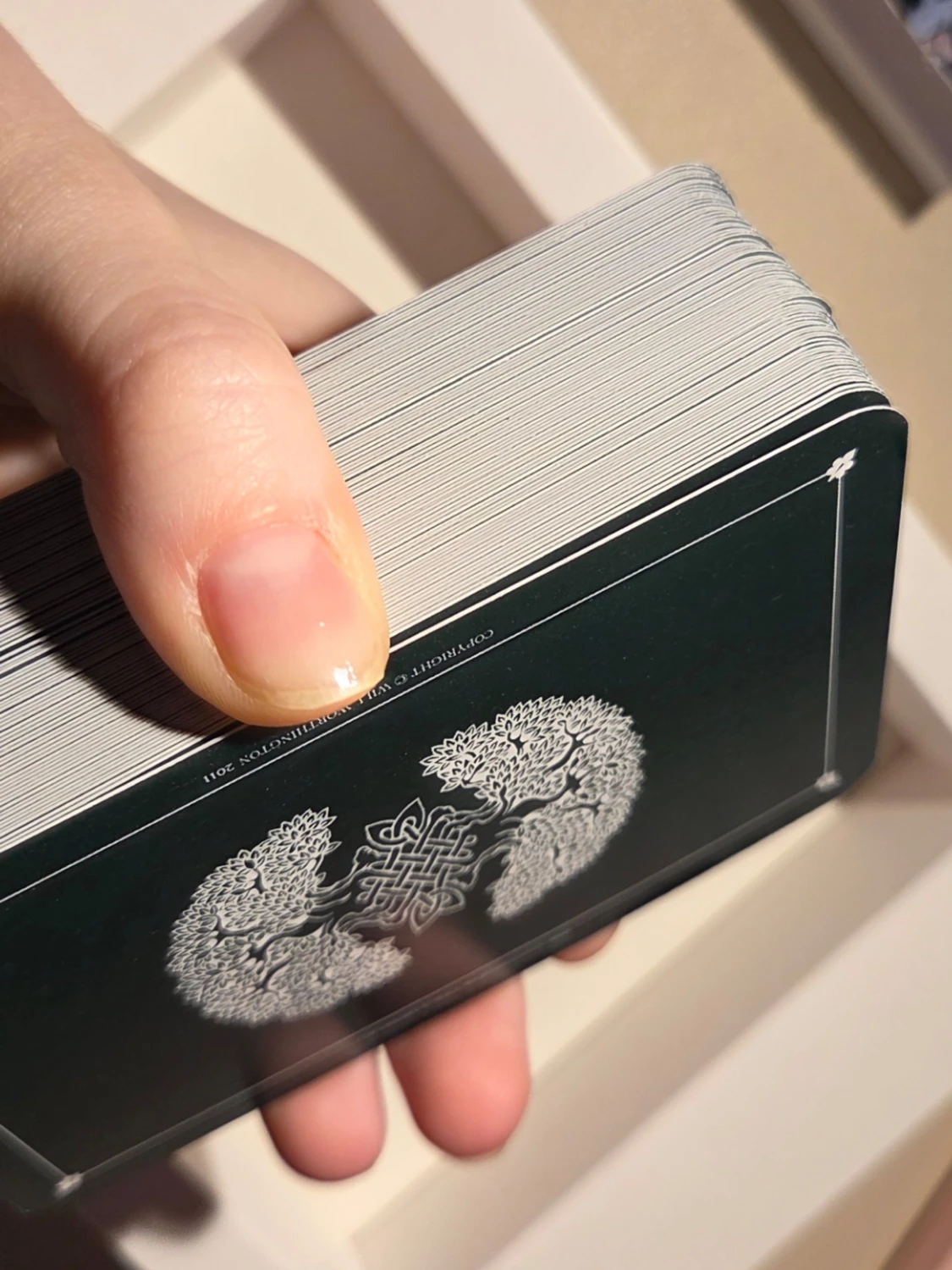 Tarot "The Wild Wood"  - 3