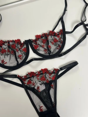 Svart mesh set med röda broderade blommor - Säljer ett svart underklädesset i mesh med vackra röda broderade blommor. Setet består av en bygel-bh med tunna axelband och matchande trosa med dubbla band i sidorna. Materialet är transparent mesh med detaljer i rött och svart. Helt oanvänt! Returtiden löpte ut tyvärr så kan ej returnera tillbaka till butiken. Köpte varan för 89kr, men säljer nu för 69kr. 