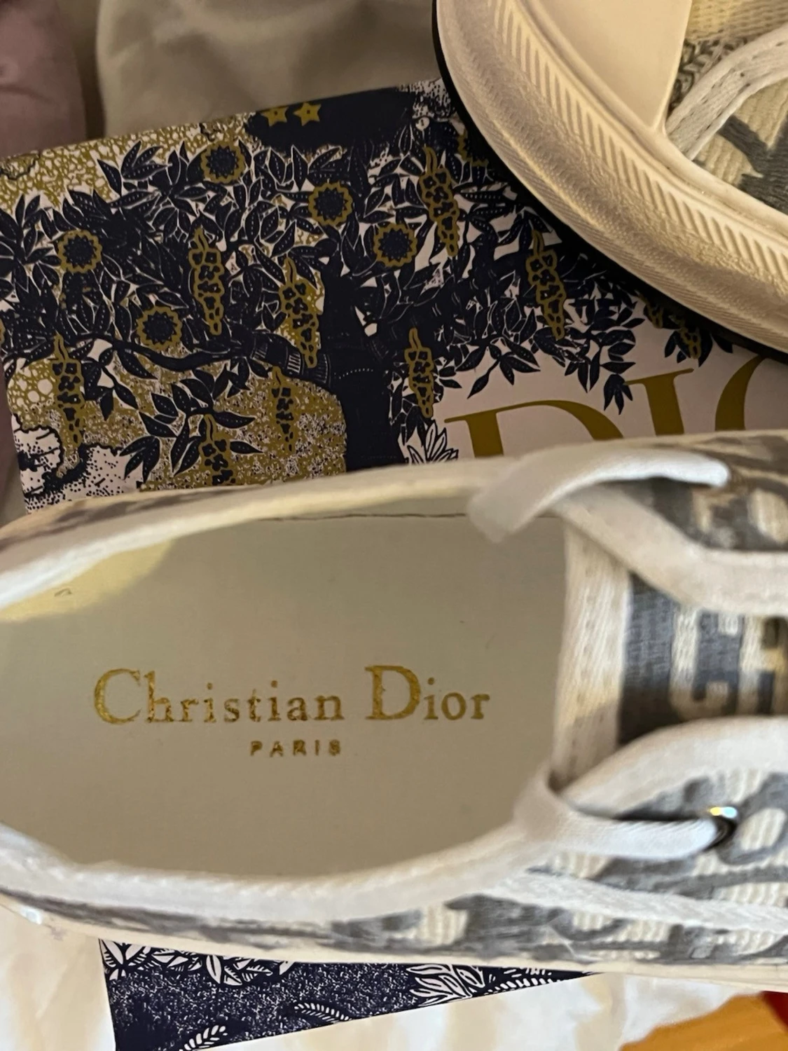 Dior Walk’N Dam Skor - 3