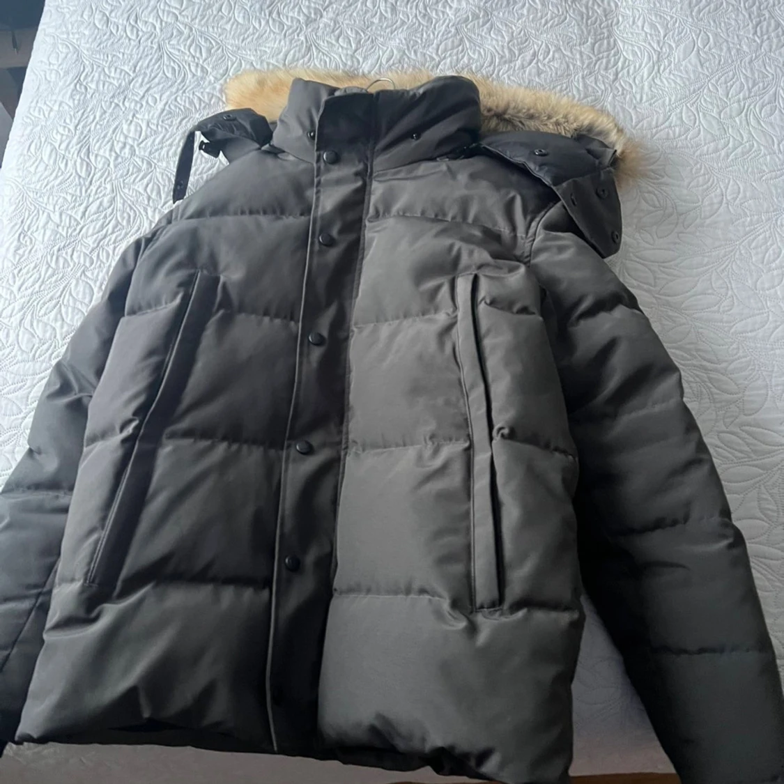 Grå Canada Goose jacka