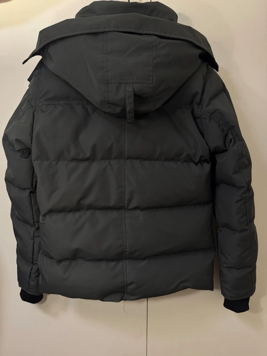 Svart dunjacka från Canada goose - 3