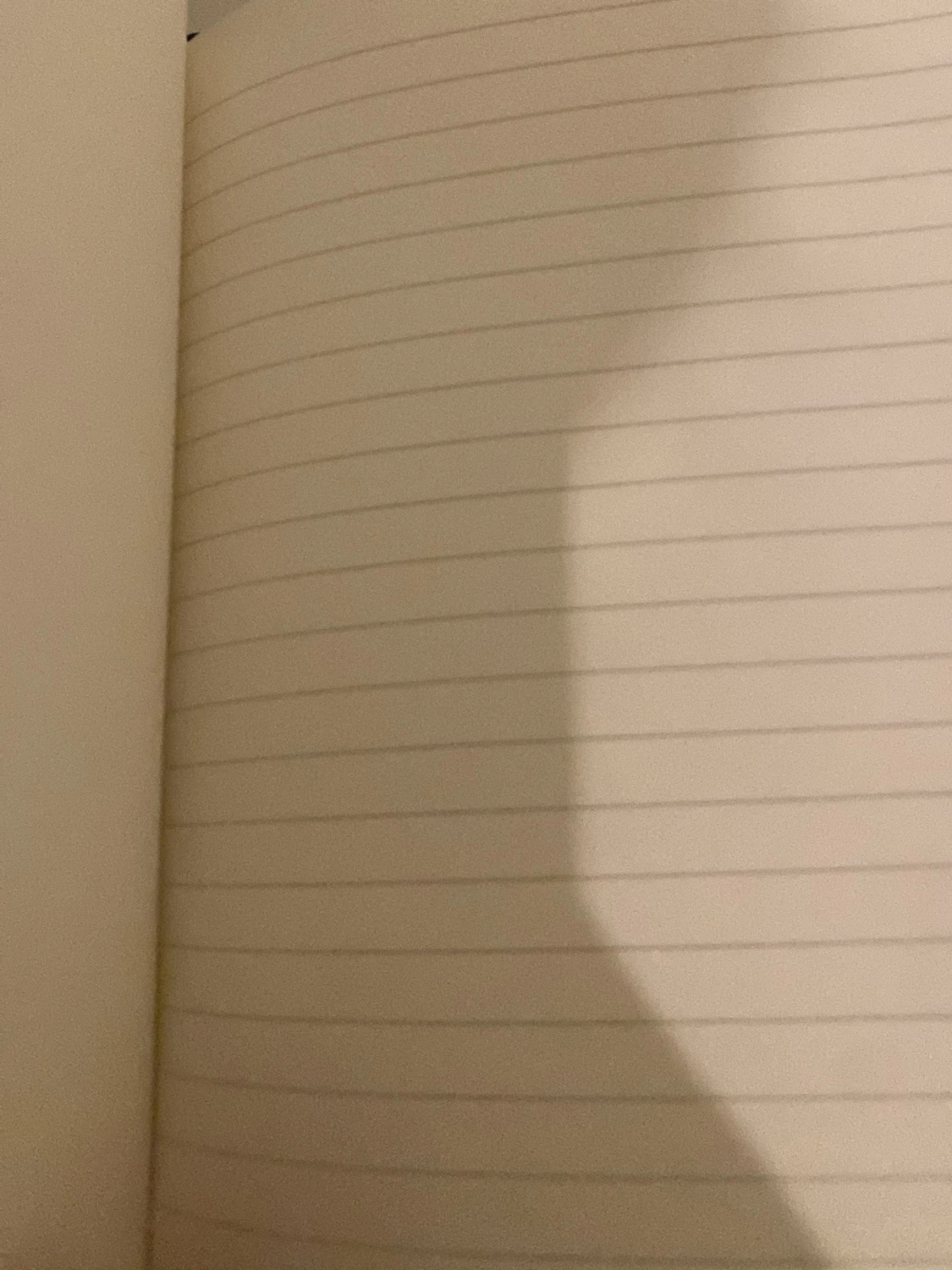 Grön anteckningsbok - 1