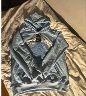 Ljusblå Spider hoodie og web  - Säljer en ljusblå hoodie från Spider med stort spindelnäts-tryck och broderad text på bröstet. Tröjan har huva, lång ärm och en klassisk känguruficka framtill. Perfekt för dig som gillar streetwear och coola detaljer.