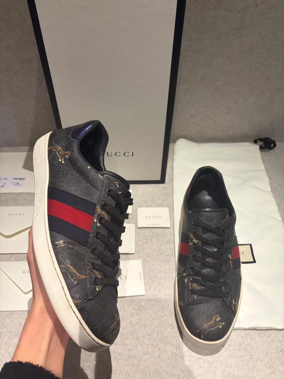 Gucci ace 