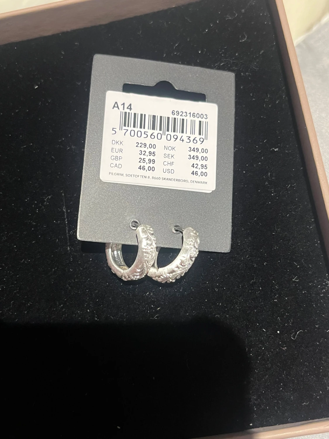 Silverfärgade örhängen från Pilgrim - 1