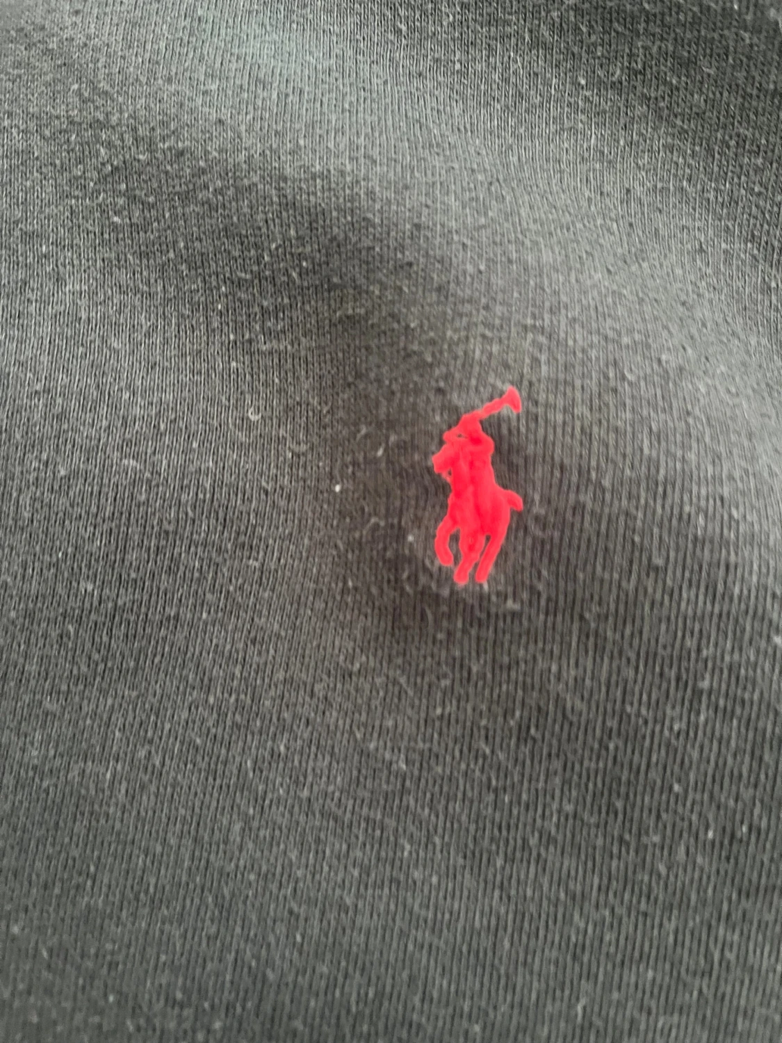 Hoodie från Polo Ralph Lauren  - 2