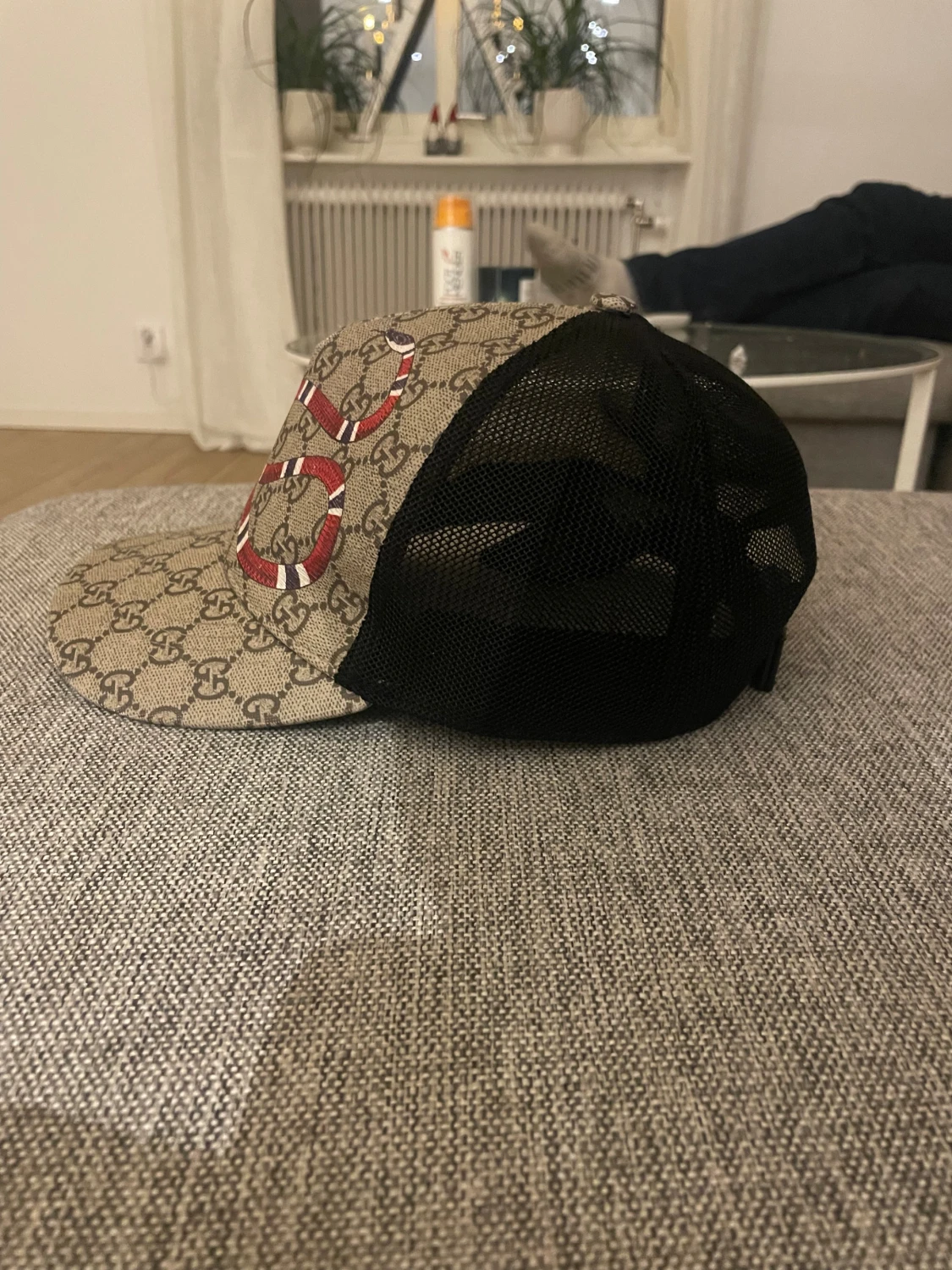 Gucci king snake - 1