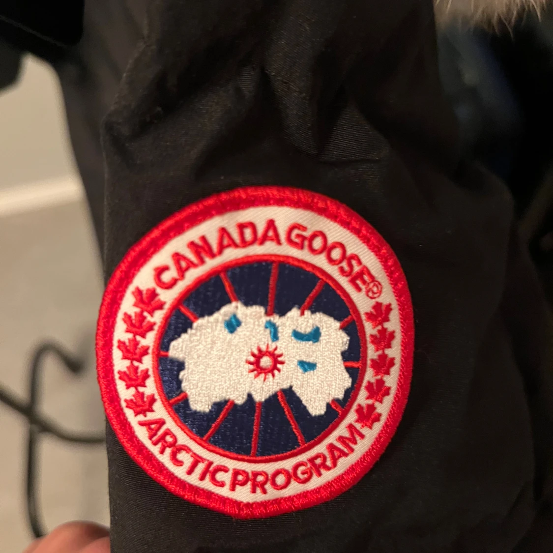 Svart Canada Goose  - 4