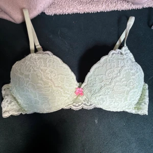 Söker en Ljusgrön spets-bh med rosa rosett - Söker en inte säljer